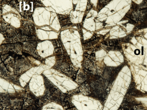Plane light thin section of NWA 5790