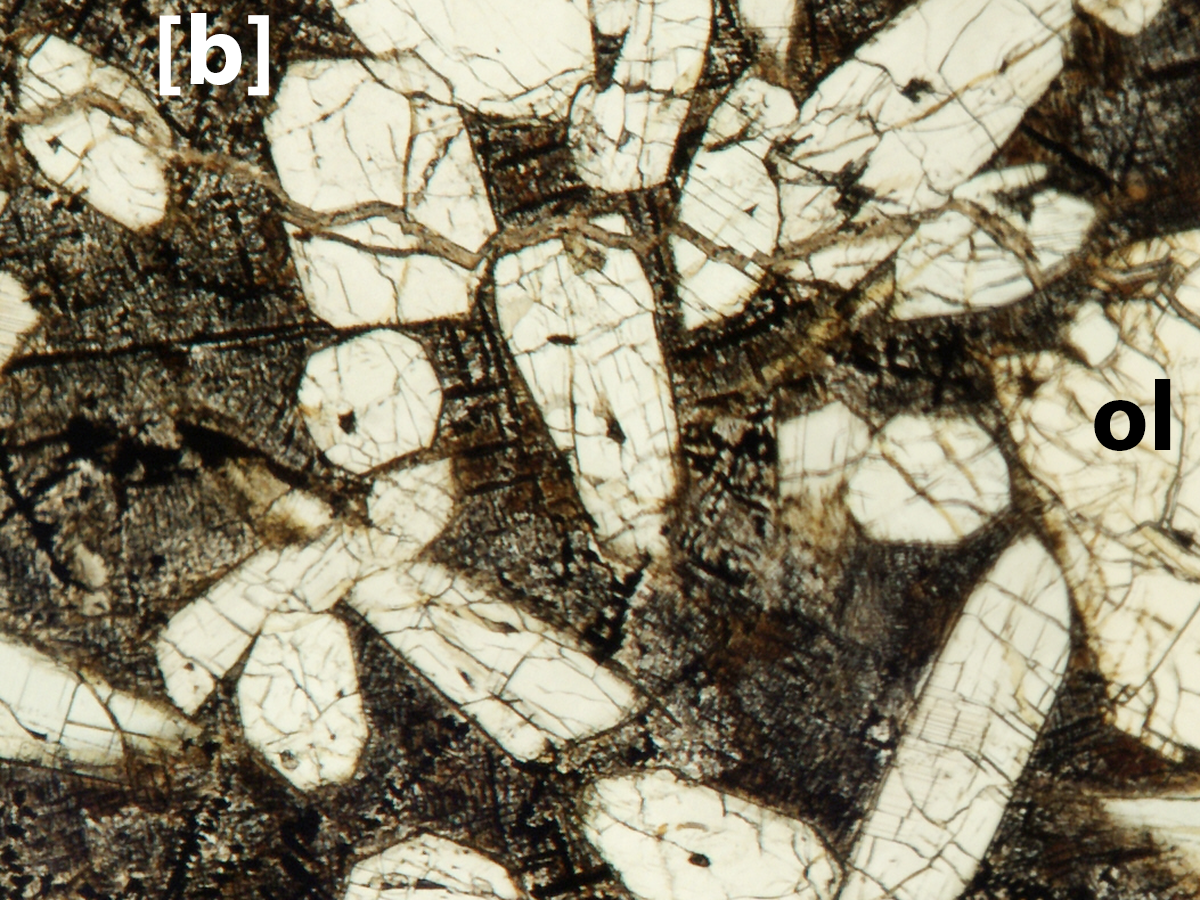 Plane light thin section of NWA 5790